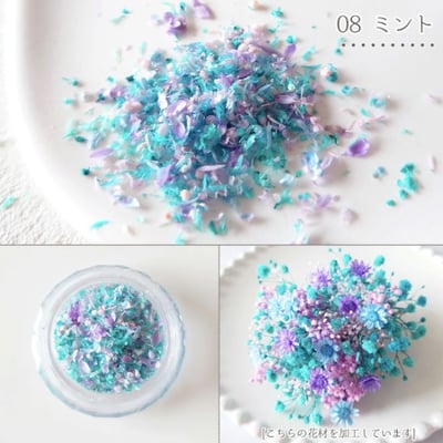 GreenOcean乾燥碎花瓣11