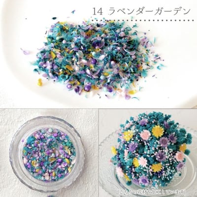 GreenOcean乾燥碎花瓣17