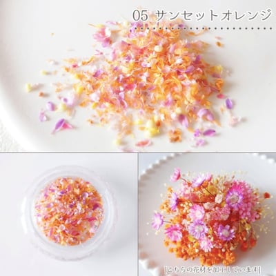 GreenOcean乾燥碎花瓣8