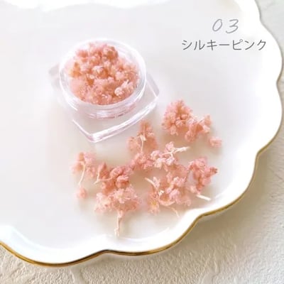 GreenOcean Crispy Pam乾燥花5