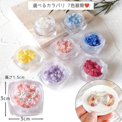 GreenOcean Crispy Pam乾燥花2