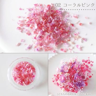 GreenOcean乾燥碎花瓣5