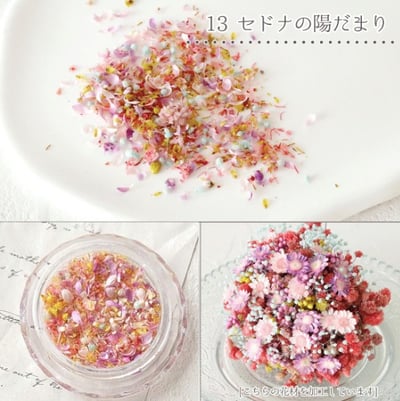 GreenOcean乾燥碎花瓣16