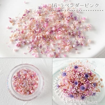 GreenOcean乾燥碎花瓣19