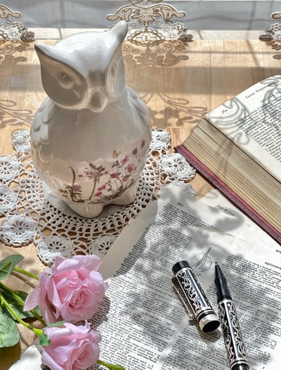 野花詩境·陶瓷貓頭鷹3