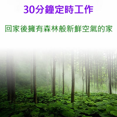 三檔定時紫外線殺菌燈 紫外線殺菌燈 高臭氧【保固一年】8