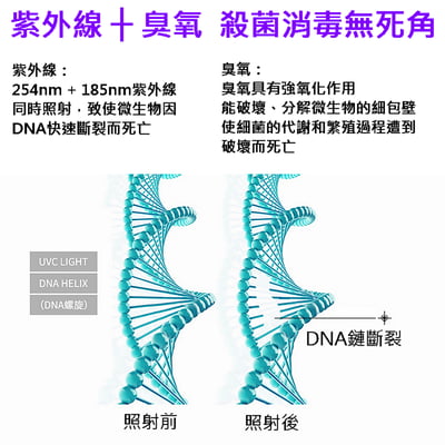 三檔定時紫外線殺菌燈 紫外線殺菌燈 高臭氧【保固一年】7