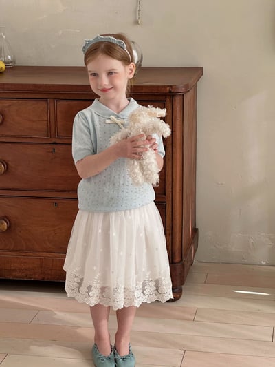 氣質星星繡花紗裙4