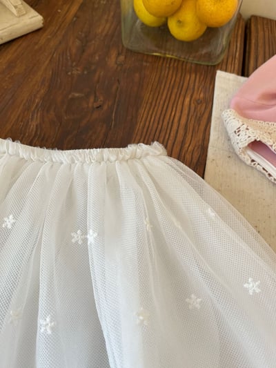 氣質星星繡花紗裙2