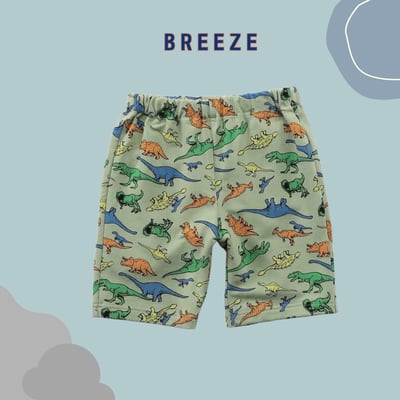 BREEZE 經典五分短褲1