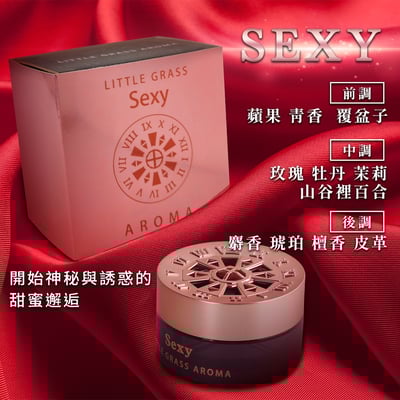 100g 車用香氛膏3