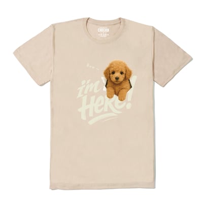 【洞洞犬】Bow~貴賓狗Ｔ恤3