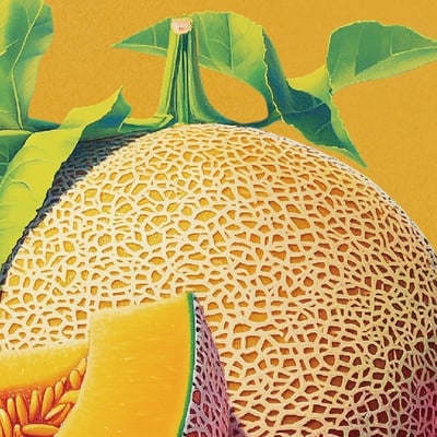 cantaloupe哈密瓜T恤1