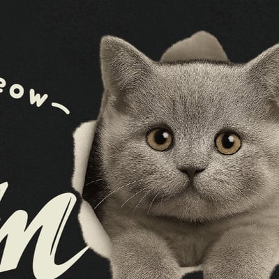 【洞洞貓】I'm Here英國短毛猫Ｔ恤2