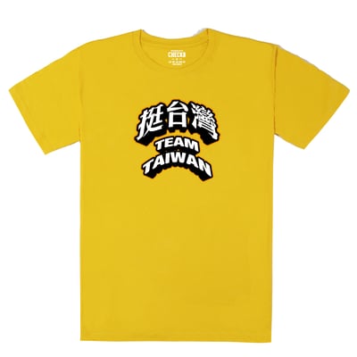TEAM TAIWAN 挺台灣T恤9