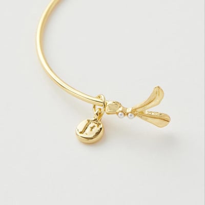 Fable England 飛翔知更鳥手環4