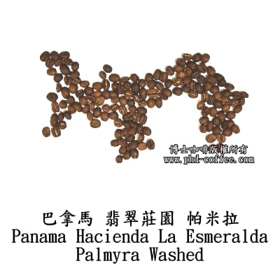 巴拿馬翡翠莊園帕米拉 (Panama Hacienda La Esmeralda Palmyra Washed)1
