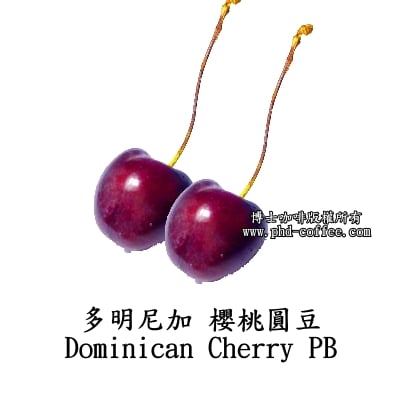 多明尼加櫻桃圓豆(Dominican Cherry PB)1
