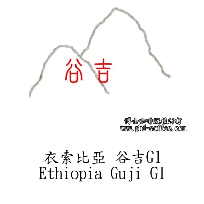 衣索匹亞谷吉G1 (Ethiopia Guji G1)1