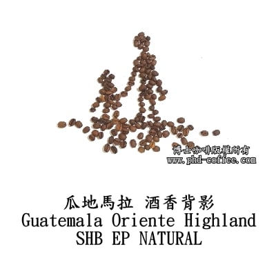瓜地馬拉酒香背影 (Guatemala Oriente Highland SHB EP NATURAL)1