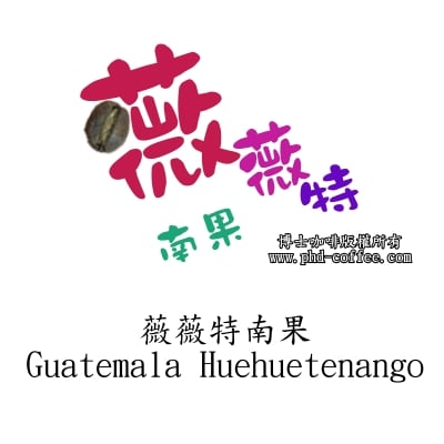 薇薇特南果 (Guatemala Huehuetenango)1