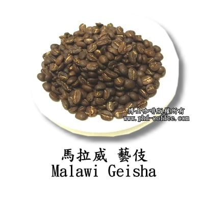 馬拉威藝伎( Malawi Geisha)1