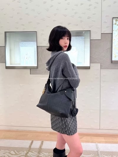 Dior Voyage Hobo腋下包2