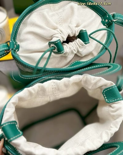 Goyard  beluga 菜籃包11