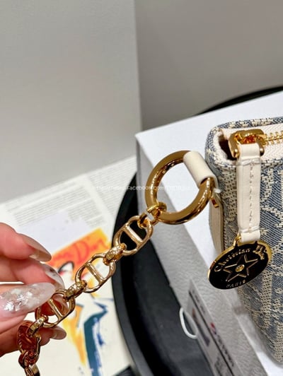 Dior刺繡老花鏈條飯盒包9