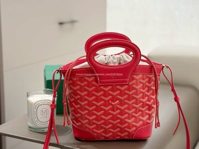 Goyard  beluga 菜籃包7