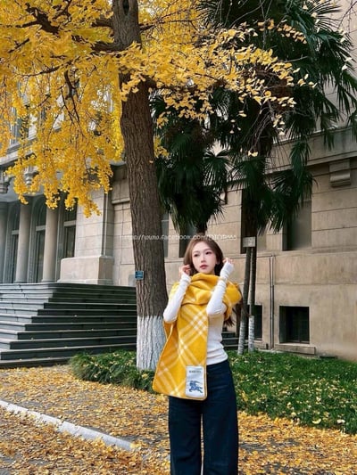 Burberry羊毛圍巾1