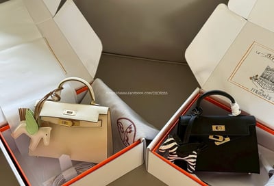 愛馬仕 kellymini  二代5