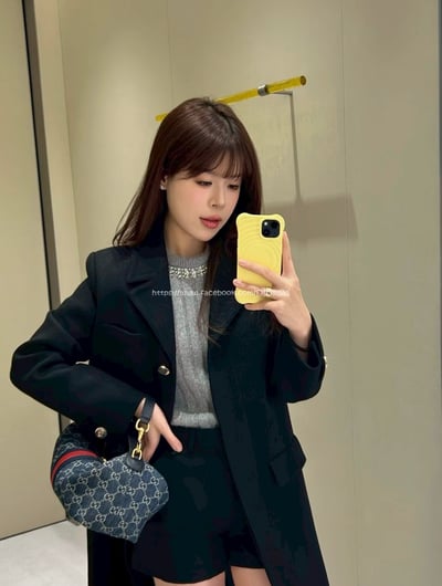 Gucci Vanity 老花飯盒包6