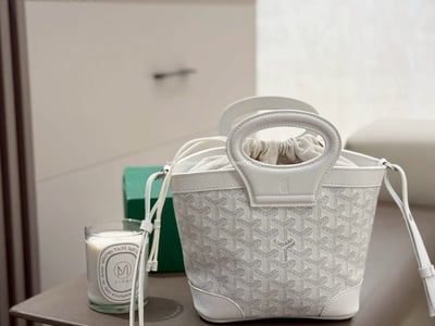 Goyard  beluga 菜籃包9