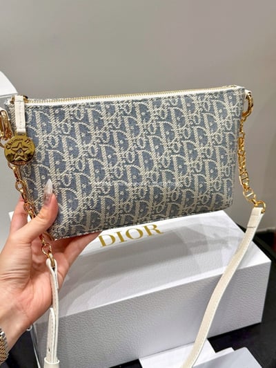Dior刺繡老花鏈條飯盒包7
