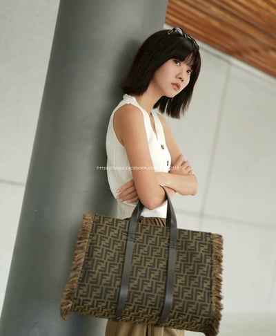 fendi peekabo 購物袋 7