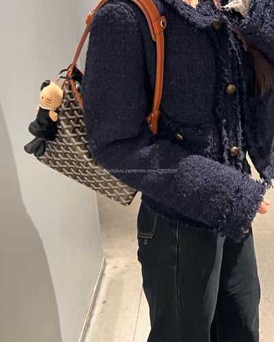 goyard hobo mini2