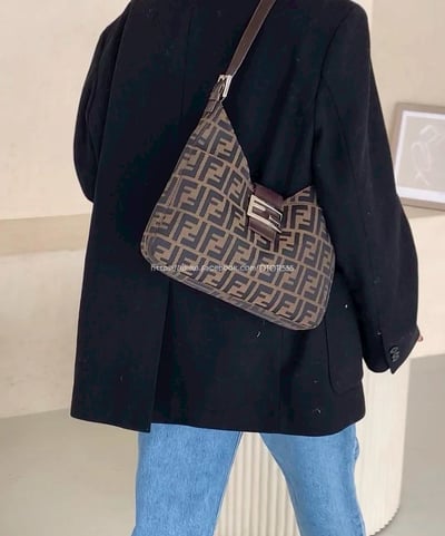 Fendi zucca 老花牛角包2