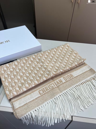 DIOR圍巾9