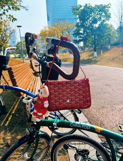 GOYARD Plumet信封包13