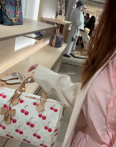 LV keepall枕頭包 13