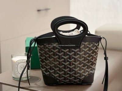 Goyard  beluga 菜籃包6