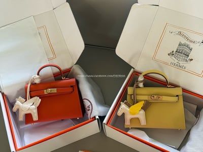 愛馬仕 kellymini  二代6