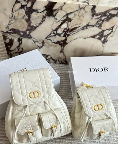 Dior後背包13
