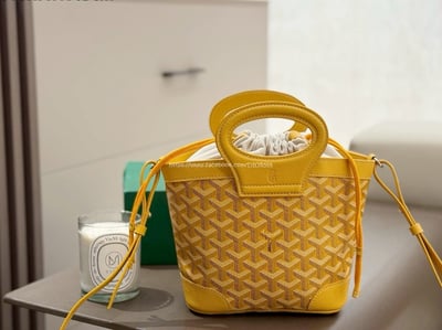 Goyard  beluga 菜籃包10