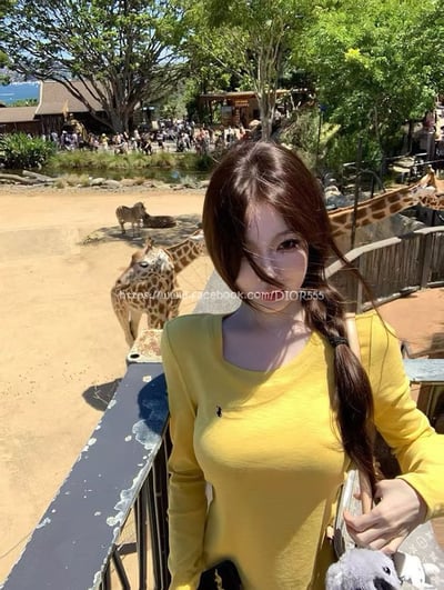  Polo小馬長袖T 5