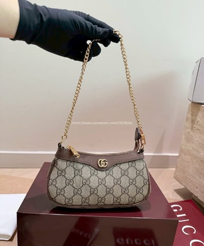 Gucci ophidia mini麻將包2