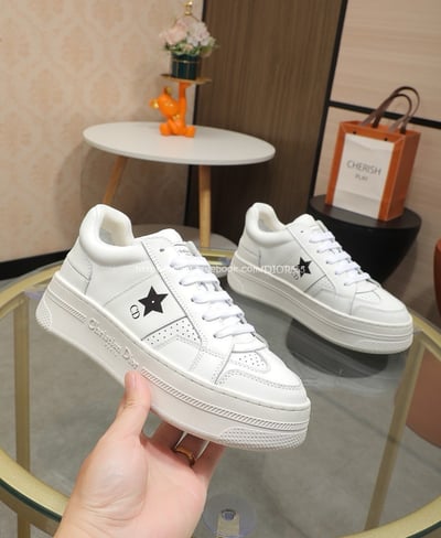 Dior Star 運動鞋10