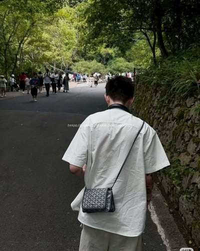 GOYARD Plumet信封包3