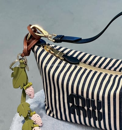 miumiu帆布飯盒包3